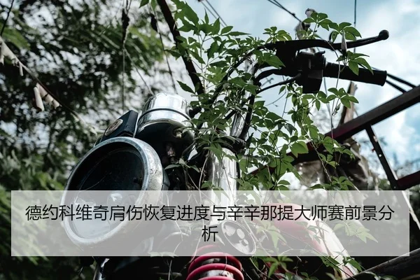 德约科维奇肩伤恢复进度与辛辛那提大师赛前景分析