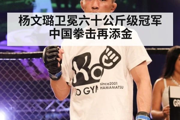 杨文璐卫冕六十公斤级冠军中国拳击再添金